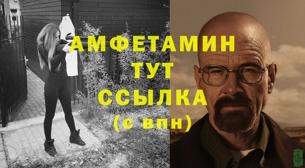молекула духа Алексеевка