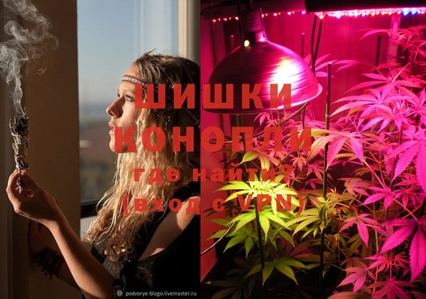 молекула духа Алексеевка