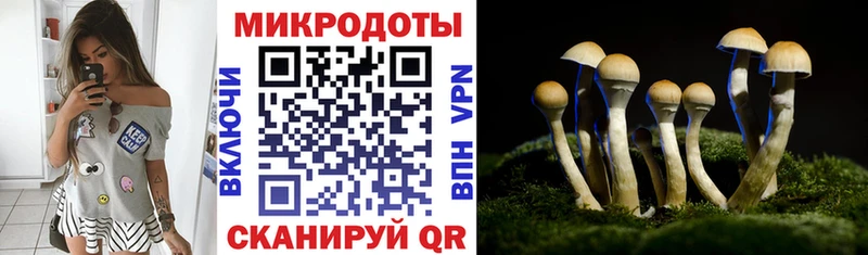 Галлюциногенные грибы прущие грибы  Купить  Городище 